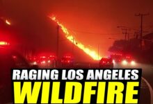 wildfire los angeles today