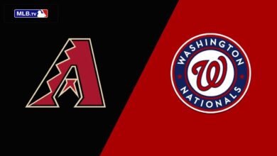 arizona diamondbacks vs washington nationals match player stats​