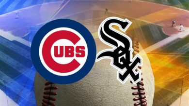 chicago cubs vs white sox match player stats​